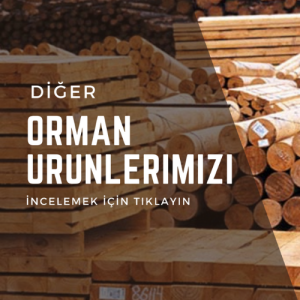 Orman Ürünleri